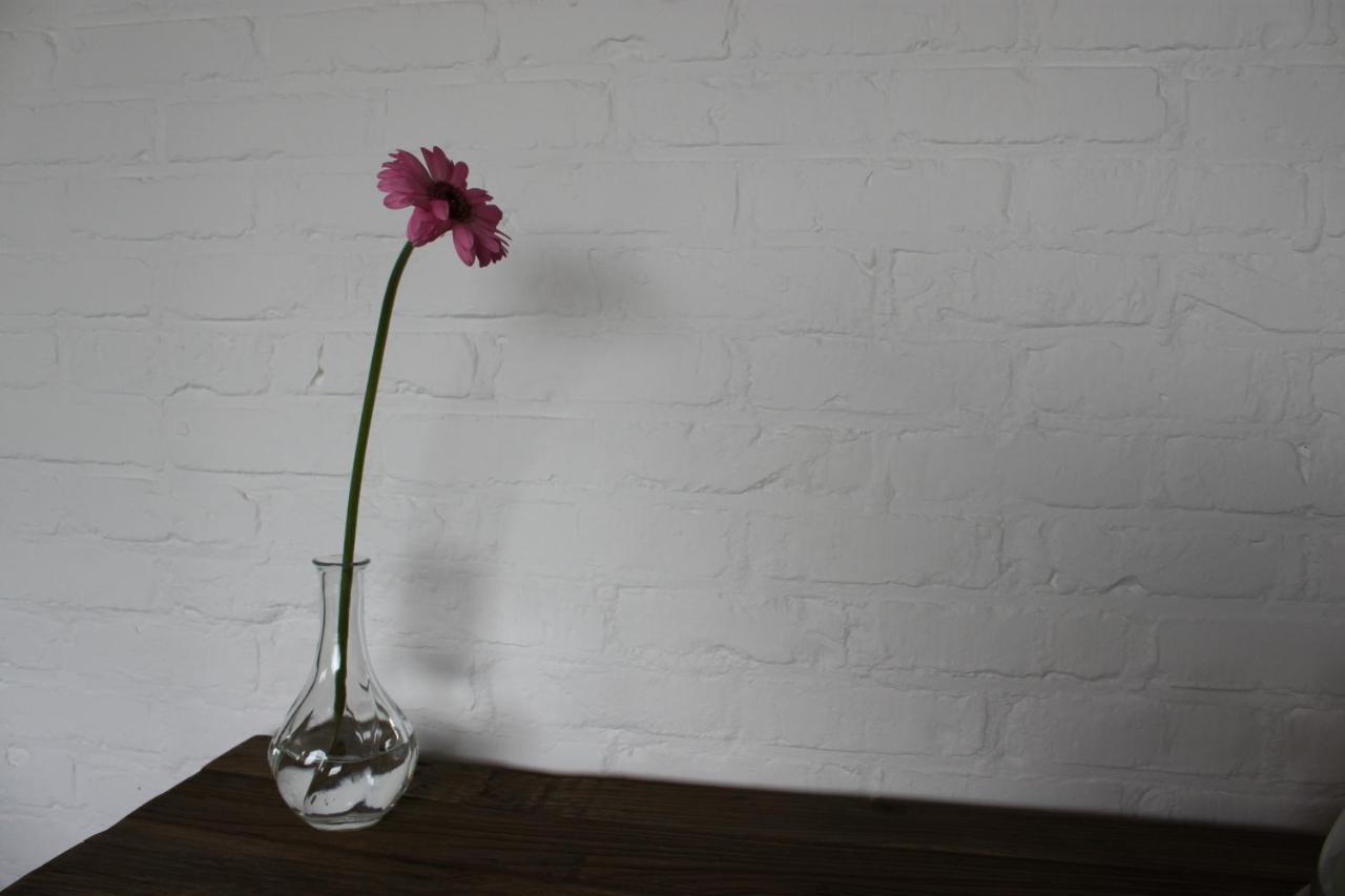 B&B 't Hoogste Bornem Buitenkant foto