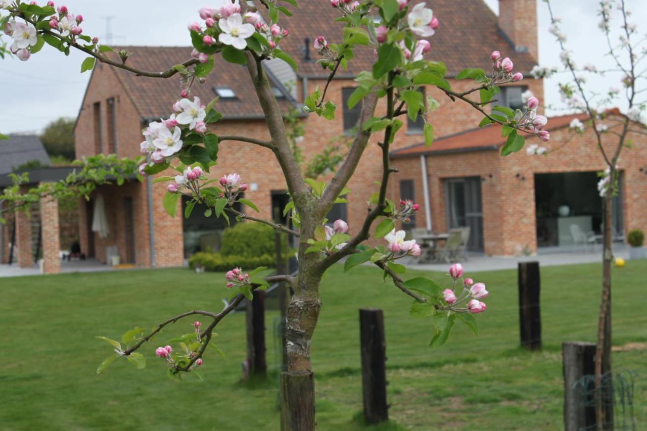 B&B 't Hoogste Bornem Buitenkant foto